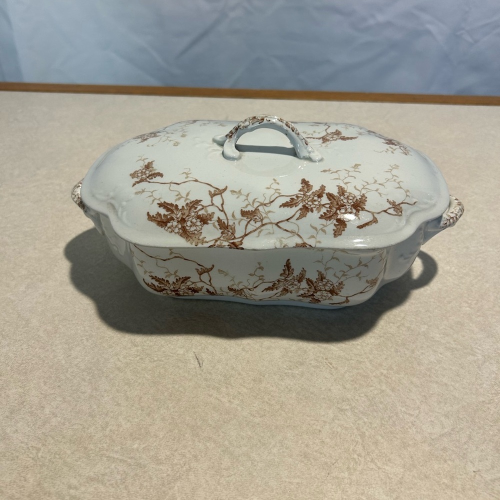 Antique Mellor Taylor &Co semi porcelain England Fern casserole lidded dish Rare